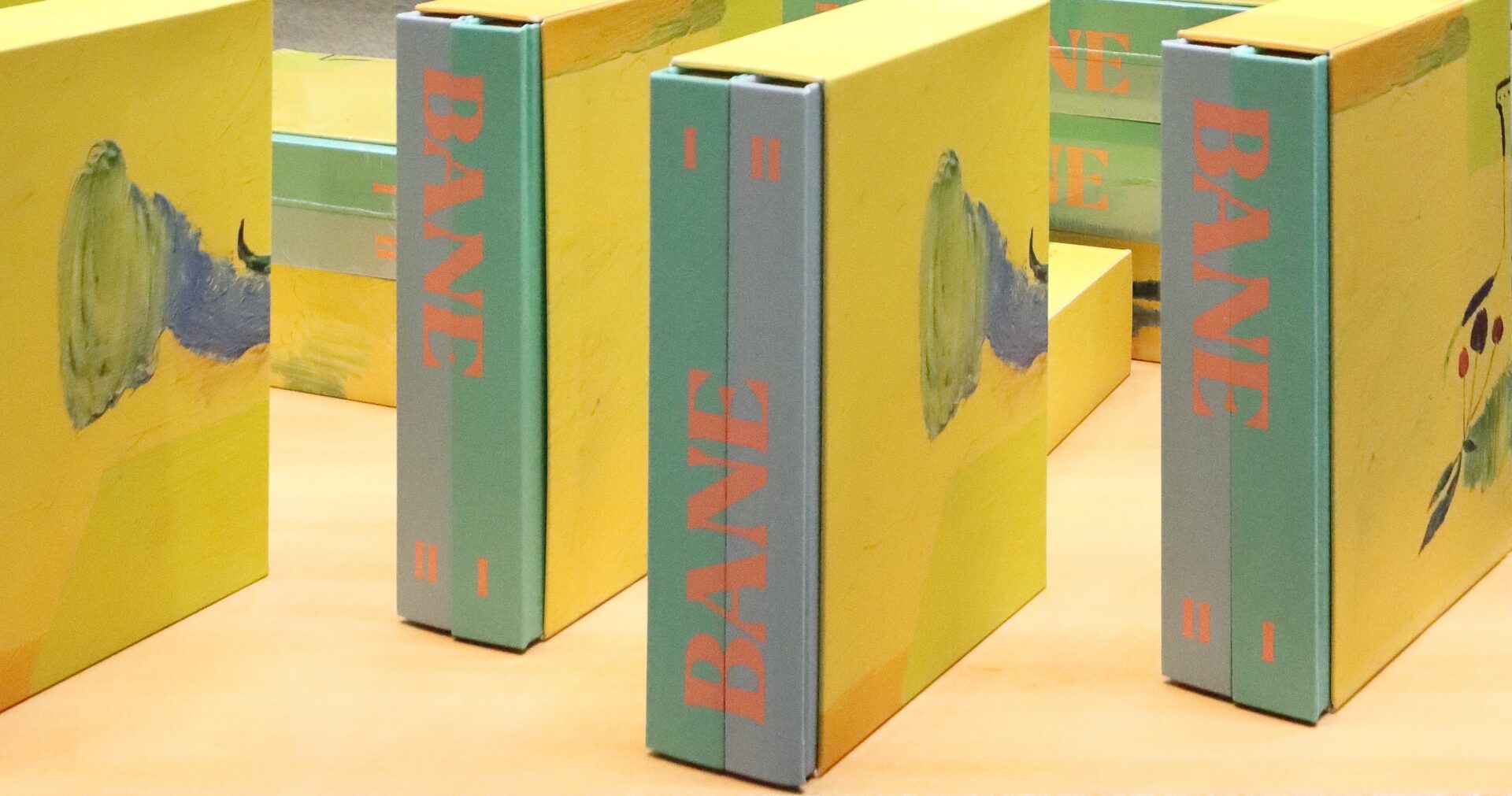 Copies of BANE, a 2023 art book spotlighting the work of painter Bane Milenković published by Hamper Studio.