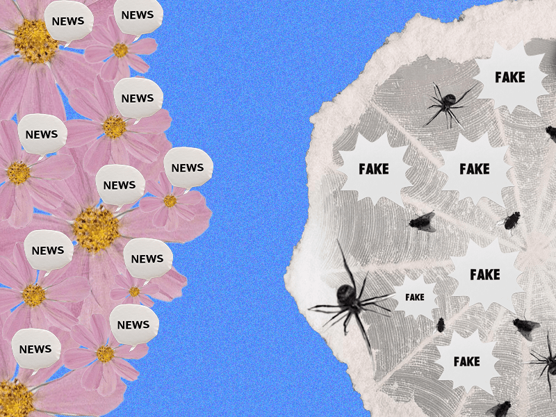 Infodemija – kako se snaći u šumi informacija? Ilustrativni vizual