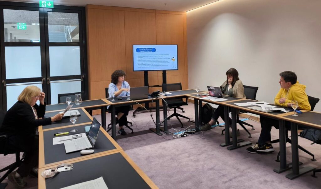 Members of the working group tasked with setting up the Croatian Diamond Capacity Hub.