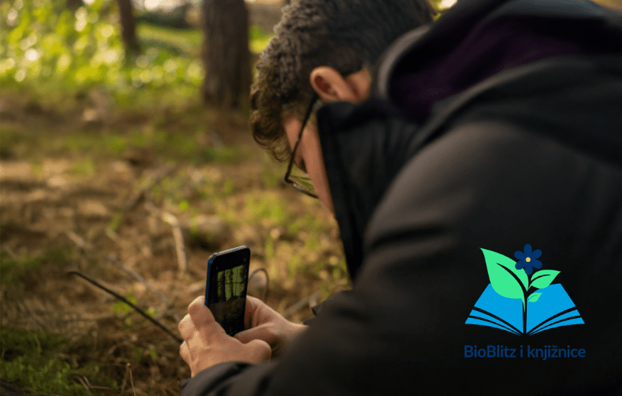 The visual identity of the 'BioBlitz and libraries' programme.