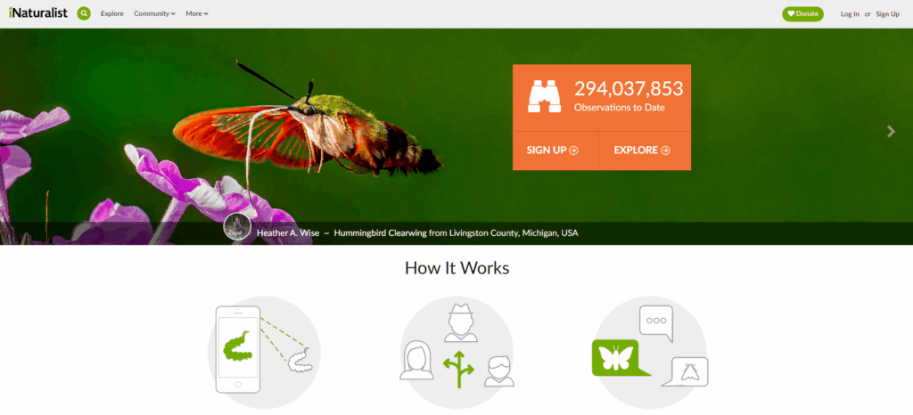 The homepage of the iNaturalist website.