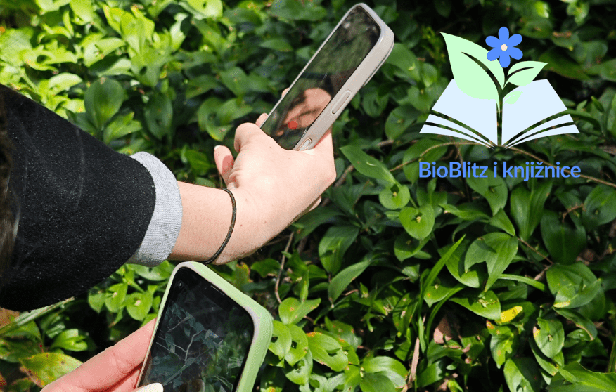 Sudionici aktivnosti BioBlitz fotografiraju prirodni okoliš.